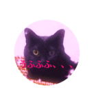 ポジとネガの相槌（個別スタンプ：3）