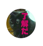 ポジとネガの相槌（個別スタンプ：5）