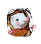 ふぇれっと（個別スタンプ：1）