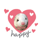 ふぇれっと（個別スタンプ：20）