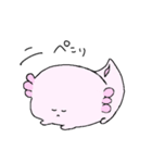 ウーパールーパーのウパとルパ（個別スタンプ：23）