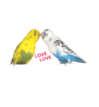 うちのセキセイインコ（個別スタンプ：10）