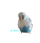 うちのセキセイインコ（個別スタンプ：19）