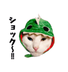 白猫タマの日常2（個別スタンプ：4）