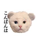 白猫タマの日常2（個別スタンプ：5）