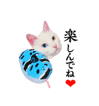 白猫タマの日常2（個別スタンプ：11）