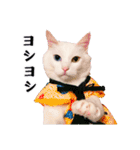 白猫タマの日常2（個別スタンプ：16）