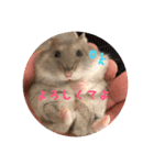 じぇんはむくん（個別スタンプ：3）