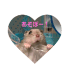 じぇんはむくん（個別スタンプ：9）