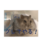 じぇんはむくん（個別スタンプ：12）