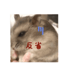 じぇんはむくん（個別スタンプ：13）