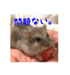 じぇんはむくん（個別スタンプ：14）