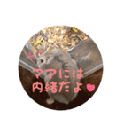 じぇんはむくん（個別スタンプ：19）