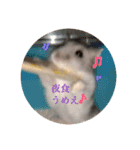じぇんはむくん（個別スタンプ：23）
