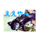 みやけさんちのいぬ（個別スタンプ：12）