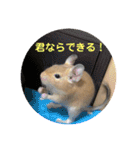 デグーの「ちくわ」2（個別スタンプ：2）