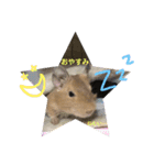 デグーの「ちくわ」2（個別スタンプ：16）