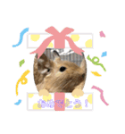 デグーの「ちくわ」2（個別スタンプ：20）