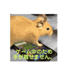 デグーの「ちくわ」2（個別スタンプ：22）