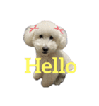 Latte Original 1（個別スタンプ：7）