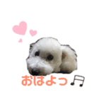 Latte Original 1（個別スタンプ：15）