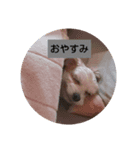 ゆうくんともこちゃん（個別スタンプ：1）