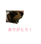 あきちゃん！はい！（個別スタンプ：2）