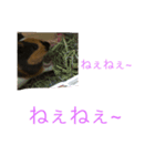 あきちゃん！はい！（個別スタンプ：4）