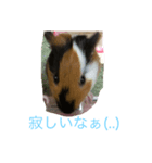あきちゃん！はい！（個別スタンプ：8）