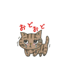 チビ子2019（個別スタンプ：12）
