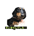 ロアの日常（個別スタンプ：10）