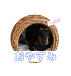ロアの日常（個別スタンプ：12）