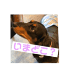 ロアの日常（個別スタンプ：14）