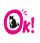 保護猫もんちゃんのゆるゆるなスタンプ（個別スタンプ：2）