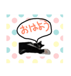 保護猫もんちゃんのゆるゆるなスタンプ（個別スタンプ：7）