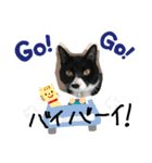 保護猫もんちゃんのゆるゆるなスタンプ（個別スタンプ：8）
