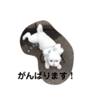 くぅちゃんスタンプ作りました（個別スタンプ：23）