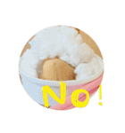 キンクマハムスターさんの日常②（個別スタンプ：2）