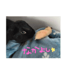 キンクマハムスターさんの日常②（個別スタンプ：5）