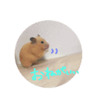 キンクマハムスターさんの日常②（個別スタンプ：10）