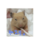 キンクマハムスターさんの日常②（個別スタンプ：14）