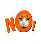 犬時々猫。（個別スタンプ：4）