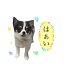 ムッカ様だぞ！Part2（個別スタンプ：6）