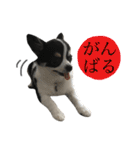 ムッカ様だぞ！Part2（個別スタンプ：14）