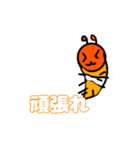海老ちゃん、スタンプ（個別スタンプ：7）