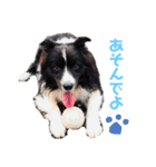 にゃろめとわさびとマーブルの日常 ❷（個別スタンプ：3）