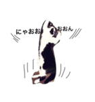 愛猫ねこくん（個別スタンプ：15）