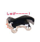 愛猫ねこくん（個別スタンプ：18）