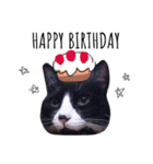 愛猫ねこくん（個別スタンプ：23）