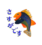 楽しい魚（個別スタンプ：11）